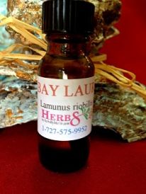Bay Laurel Essential Oil (Laurus nobilis) 1/2 oz
